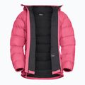 Moteriška pūsta striukė Jack Wolfskin Ather Down Hoody bubblegum 9