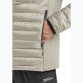 Vyriška striukė Jack Wolfskin Routeburn Pro Ins linen 5
