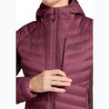 Moteriška pašiltinta striukė Jack Wolfskin Routeburn Pro Ins raisin 6