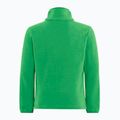 Vaikiškas fliso džemperis Jack Wolfskin Taunus mystic green 2