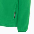 Vaikiškas fliso džemperis Jack Wolfskin Taunus mystic green 5