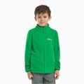 Vaikiškas fliso džemperis Jack Wolfskin Taunus mystic green 7