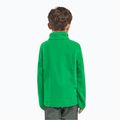 Vaikiškas fliso džemperis Jack Wolfskin Taunus mystic green 8
