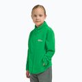 Vaikiškas fliso džemperis Jack Wolfskin Taunus mystic green 10