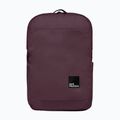 Miesto kuprinė Jack Wolfskin Terraview 20 l amaranth