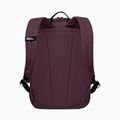Miesto kuprinė Jack Wolfskin Terraview 20 l amaranth 3