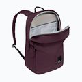 Miesto kuprinė Jack Wolfskin Terraview 20 l amaranth 6