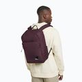Miesto kuprinė Jack Wolfskin Terraview 20 l amaranth 10