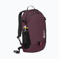 Kuprinė Jack Wolfskin Velocity 20 l amarantas 2