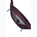 Dėklas juosmeniui Jack Wolfskin Konya Hipbag 2 l amarantas 4