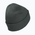 Žieminė kepurė Jack Wolfskin Rib slate green 2