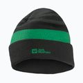 Vaikiška žieminė kepurė Jack Wolfskin Stripy Knit slate green/mystic
