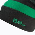 Vaikiška žieminė kepurė Jack Wolfskin Stripy Knit slate green/mystic 3
