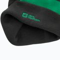 Vaikiška žieminė kepurė Jack Wolfskin Stripy Knit slate green/mystic 5