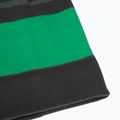 Vaikiška žieminė kepurė Jack Wolfskin Stripy Knit slate green/mystic 6