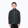 Vaikiška striukė 3in1 Jack Wolfskin Iceland 3IN1 mystic geen 15
