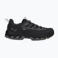 Vyriški žygio batai Jack Wolfskin Apex Hike Texapore Low black