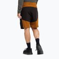 Vyriški žygio batai Jack Wolfskin Apex Hike Texapore Low black 9