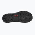 Vyriški žygio batai Jack Wolfskin Apex Hike Texapore Low obsidian moss 5