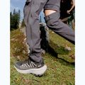 Moteriški turistiniai batai Jack Wolfskin Wild Hike Low black/phantom 7