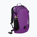Kuprinė Jack Wolfskin Velocity 20 l freesia 2