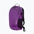 Kuprinė Jack Wolfskin Velocity 20 l freesia 4