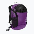 Kuprinė Jack Wolfskin Velocity 20 l freesia 9