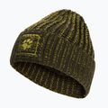 Žieminė kepurė Jack Wolfskin Badge Beanie obsidian moss