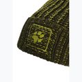 Žieminė kepurė Jack Wolfskin Badge Beanie obsidian moss 3