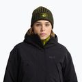 Žieminė kepurė Jack Wolfskin Badge Beanie obsidian moss 5