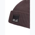 Žieminė kepurė Jack Wolfskin Pergamon Beanie sheer plum 3