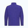Vyriškas flisinis džemperis Jack Wolfskin Trail Half Zip glow ink 5