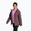 Moteriška 3‑in‑1 striukė Jack Wolfskin Moonrise 2 3IN1 sheer plum 4