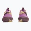 Moteriški turistiniai batai Jack Wolfskin Wild Hike Texapore Low Vanilla Cream 3