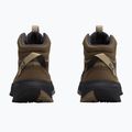 Moteriški turistiniai batai Jack Wolfskin Wild Hike Texapore Mid fawn 3