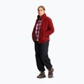 Moteriški turistiniai batai Jack Wolfskin Wild Hike Texapore Mid fawn 7