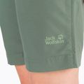 Jack Wolfskin moteriški Activate Track trekingo šortai žali 1503703_4311 6