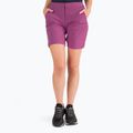 Jack Wolfskin Hilltop Trail moteriški trekingo šortai violetinės spalvos 1505461_2094