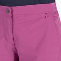 Jack Wolfskin Hilltop Trail moteriški trekingo šortai violetinės spalvos 1505461_2094 7