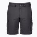 Jack Wolfskin vyriški trekingo šortai Canyon Cargo grey 1504201_6168 5