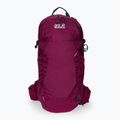 Jack Wolfskin Crosstrail ST 22 l turistinė kuprinė bordinė 2009562_2222 2