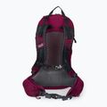 Jack Wolfskin Crosstrail ST 22 l turistinė kuprinė bordinė 2009562_2222 3