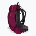 Jack Wolfskin Crosstrail ST 22 l turistinė kuprinė bordinė 2009562_2222 4