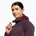 Jack Wolfskin moteriška slidinėjimo striukė Alpspitze Ins Hoody purple 1206801_2042 6