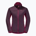 Jack Wolfskin moteriška slidinėjimo striukė Alpspitze Ins Hoody purple 1206801_2042 9