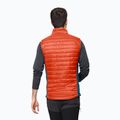 Vyriška žygio liemenė Jack Wolfskin Routeburn Pro Ins wild brier 2