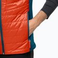 Vyriška žygio liemenė Jack Wolfskin Routeburn Pro Ins wild brier 4