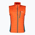 Vyriška žygio liemenė Jack Wolfskin Routeburn Pro Ins wild brier 6