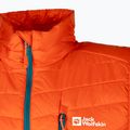 Vyriška žygio liemenė Jack Wolfskin Routeburn Pro Ins wild brier 8