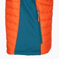 Vyriška žygio liemenė Jack Wolfskin Routeburn Pro Ins wild brier 9